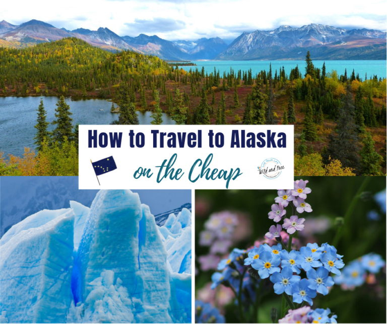 Cheapest Airline to Alaska